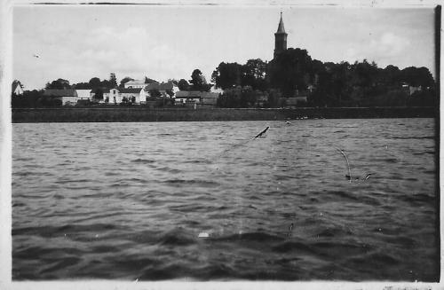 145. Kikół